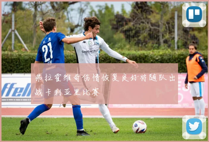弗拉霍维奇伤情恢复良好将随队出战卡利亚里比赛