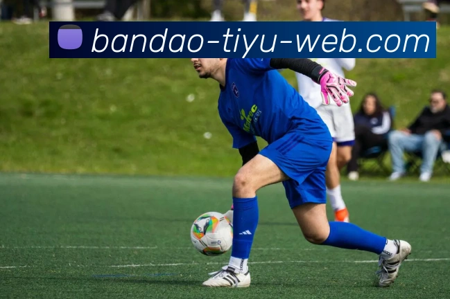 半岛体育服务体系