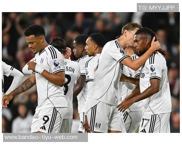 威尔逊谈富勒姆遭遇不公判罚希望未来能有所改善