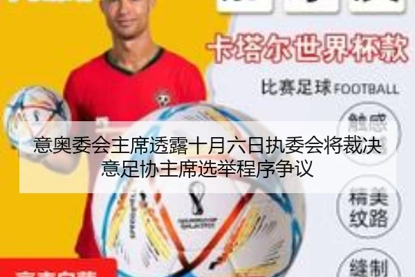 意奥委会主席透露十月六日执委会将裁决意足协主席选举程序争议